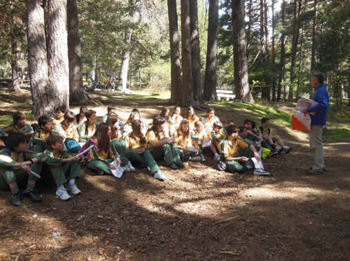 Todas las fotos aquí